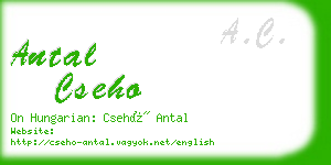 antal cseho business card